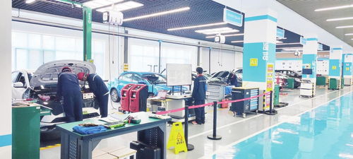 煙臺日報(bào)電子報(bào)刊