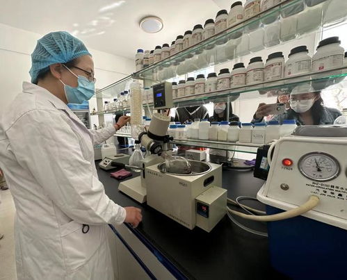 寧夏化妝品風靡俄羅斯市場，新型汽輪機研發與銷售齊頭并進